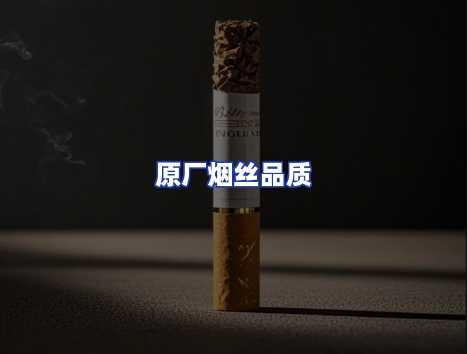 专业团队